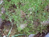 photos 2000-200901736